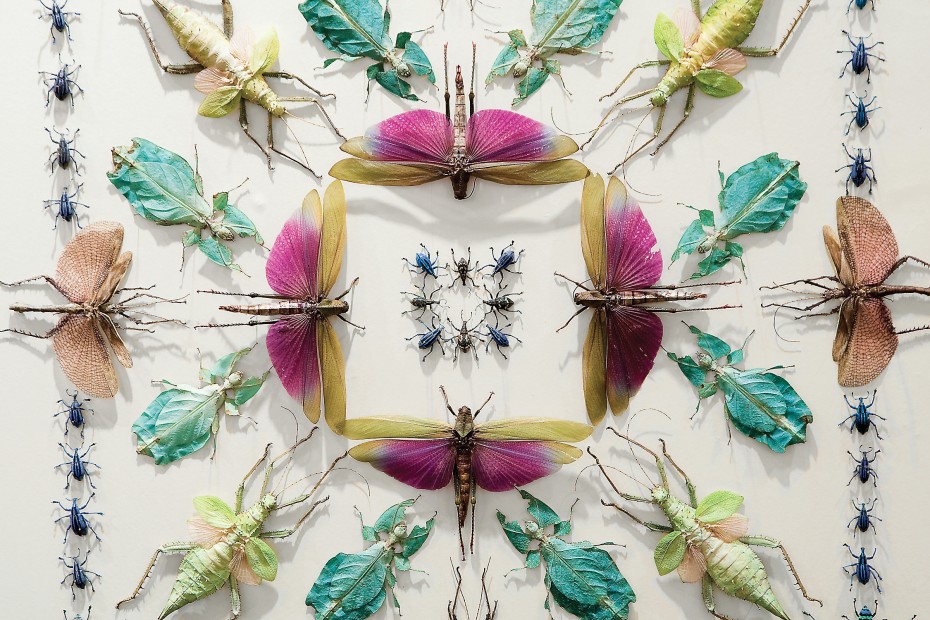 Bugs are taking over Houston's GreenStreet.
