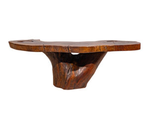 Close-up view of Tree Stump Coffee Table, showcasing authentic wooden texture and rustic charm.