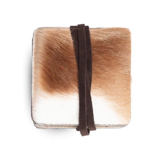 Coasters (Set of 6)  Springbok Hide - Image 2
