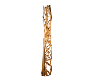 Entwined Root Column Bleached -