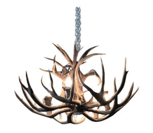 Antler 7-Light Chandelier *One of a Kind*