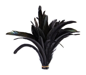 Feather Bundle Black Olive