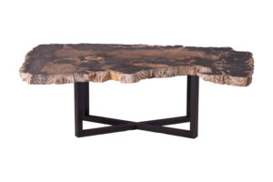 Scorched Petrified Wood Coffee Table