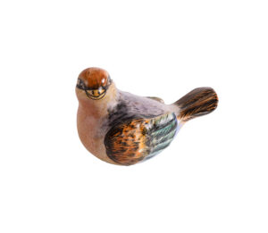 Paloma Pidgeon