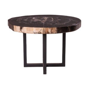 Round Petrified Coffee Table