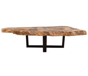Petrified Wood Coffee Table 31