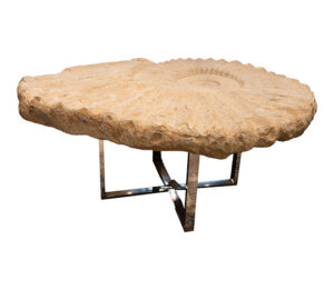 Ammonite Coffee Table 35