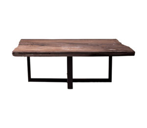 Petrified Wood Table Coffee Table Black Base