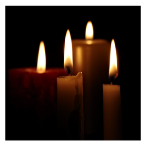 Light Up Your Life with The Arrangement
