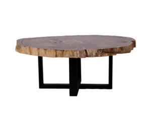 26A Petrified Wood Coffee Table